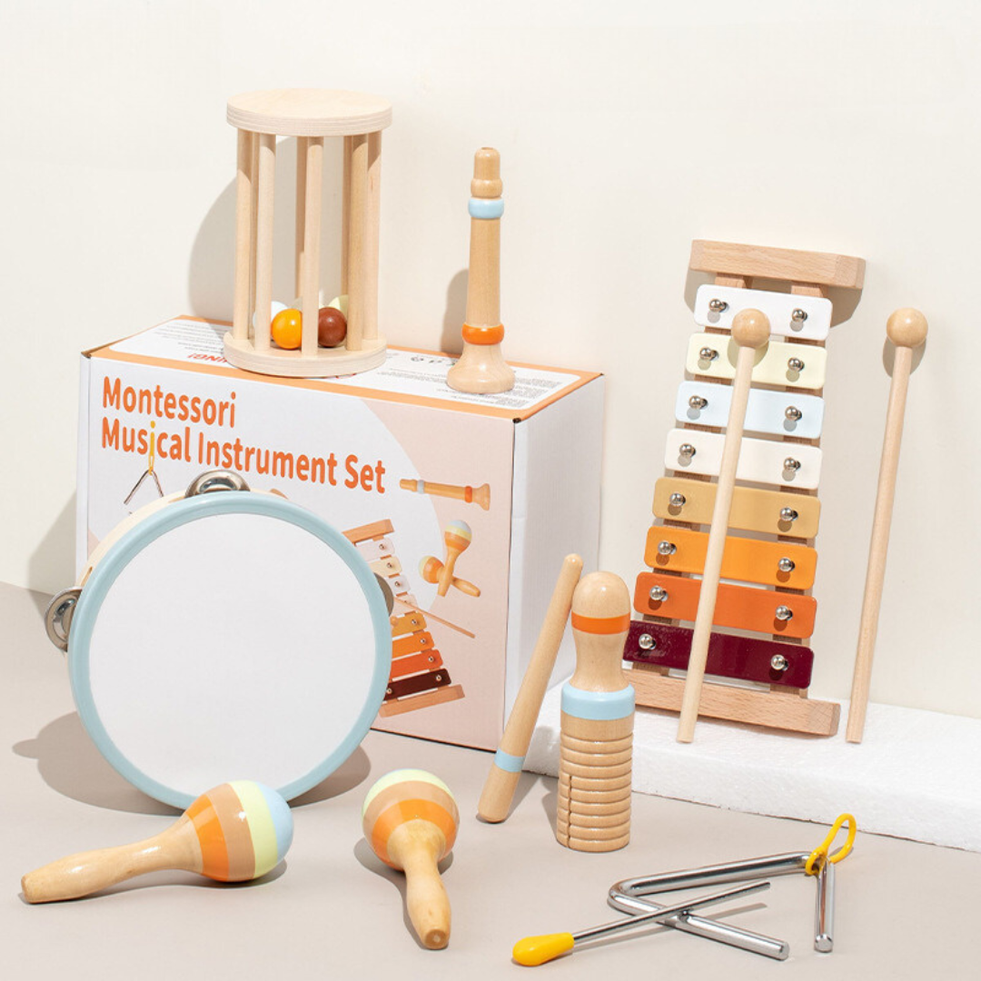 Montessori Musical Instrument Set