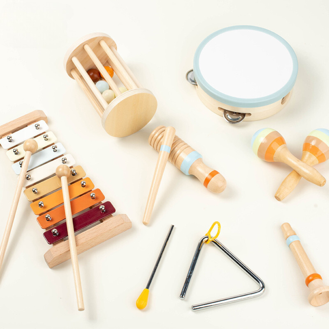 Montessori Musical Instrument Set