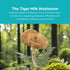 Agabom Tiger Milk Mushroom Repellent and Soothing Mist (100ml/Bottle)