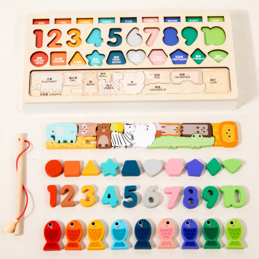 Multi-Functional Educational Board