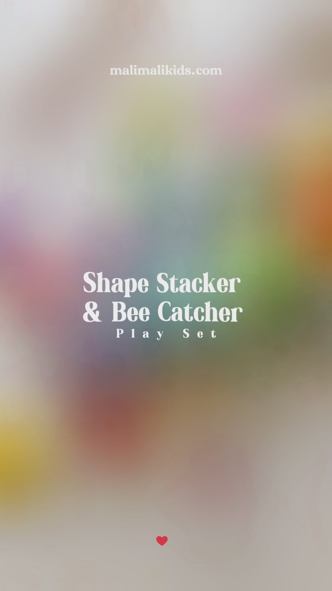 Shape Stacker & Bee Catcher Play Set