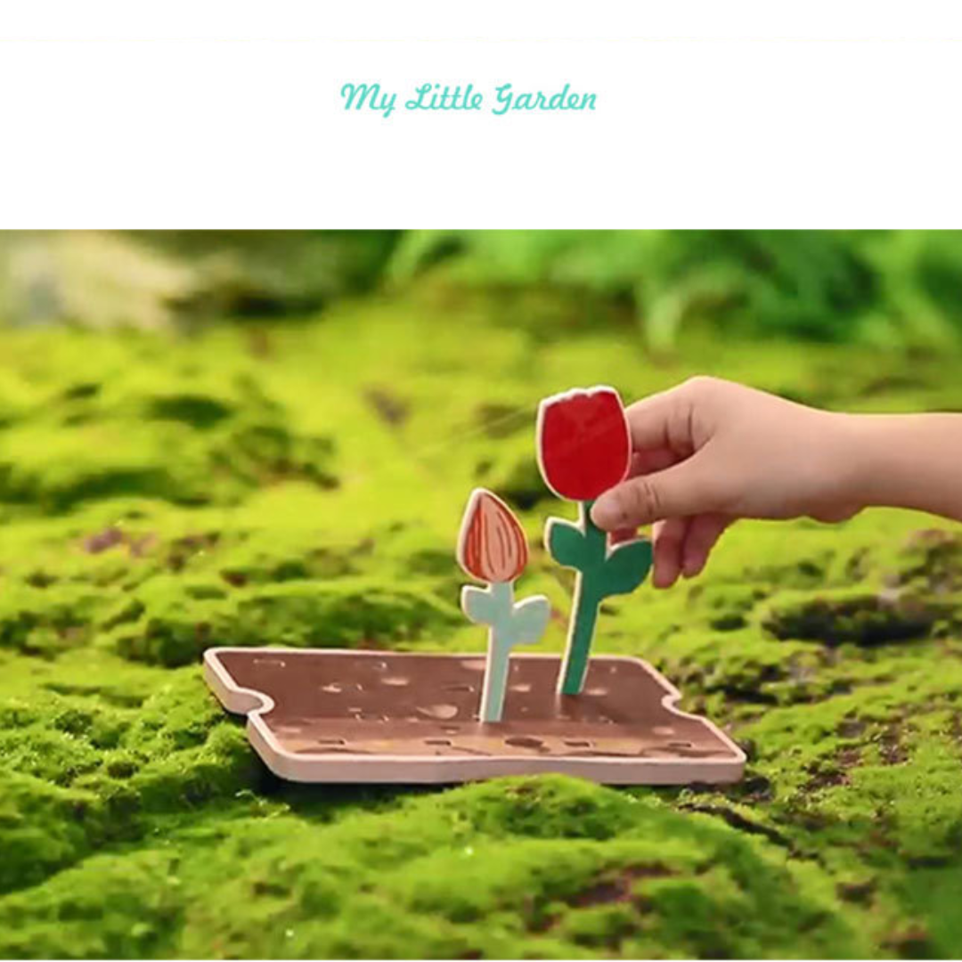 Little Garden Box Set