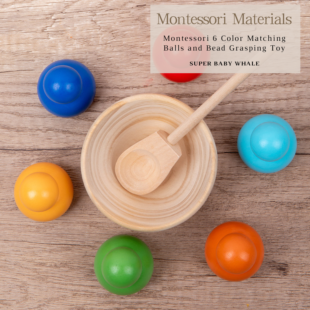 Montessori 6 Color Matching Balls and Bead Grasping Toy