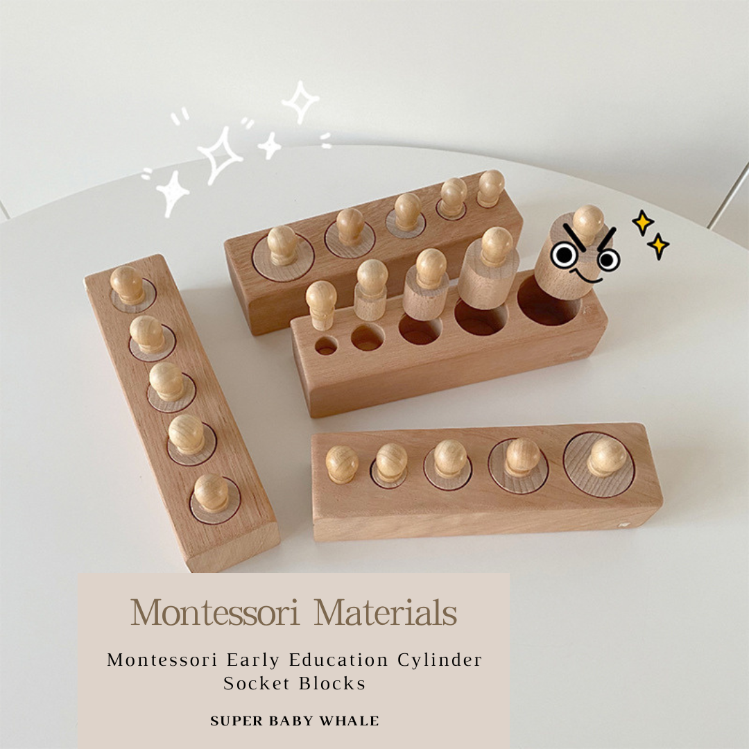 Montessori Early Education Cylinder Socket Blocks