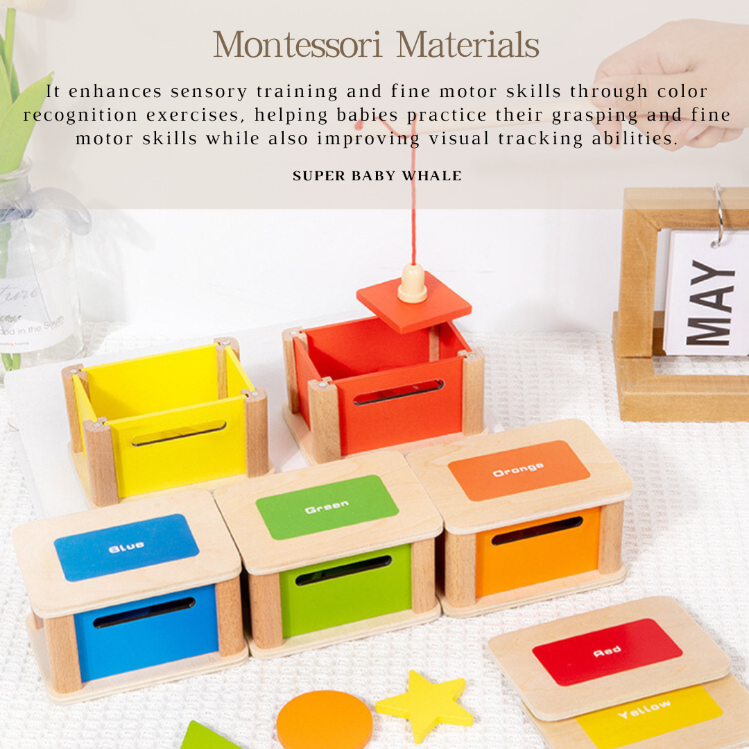 Montessori Early Education Color Sorting and Shape Matching Coin Box