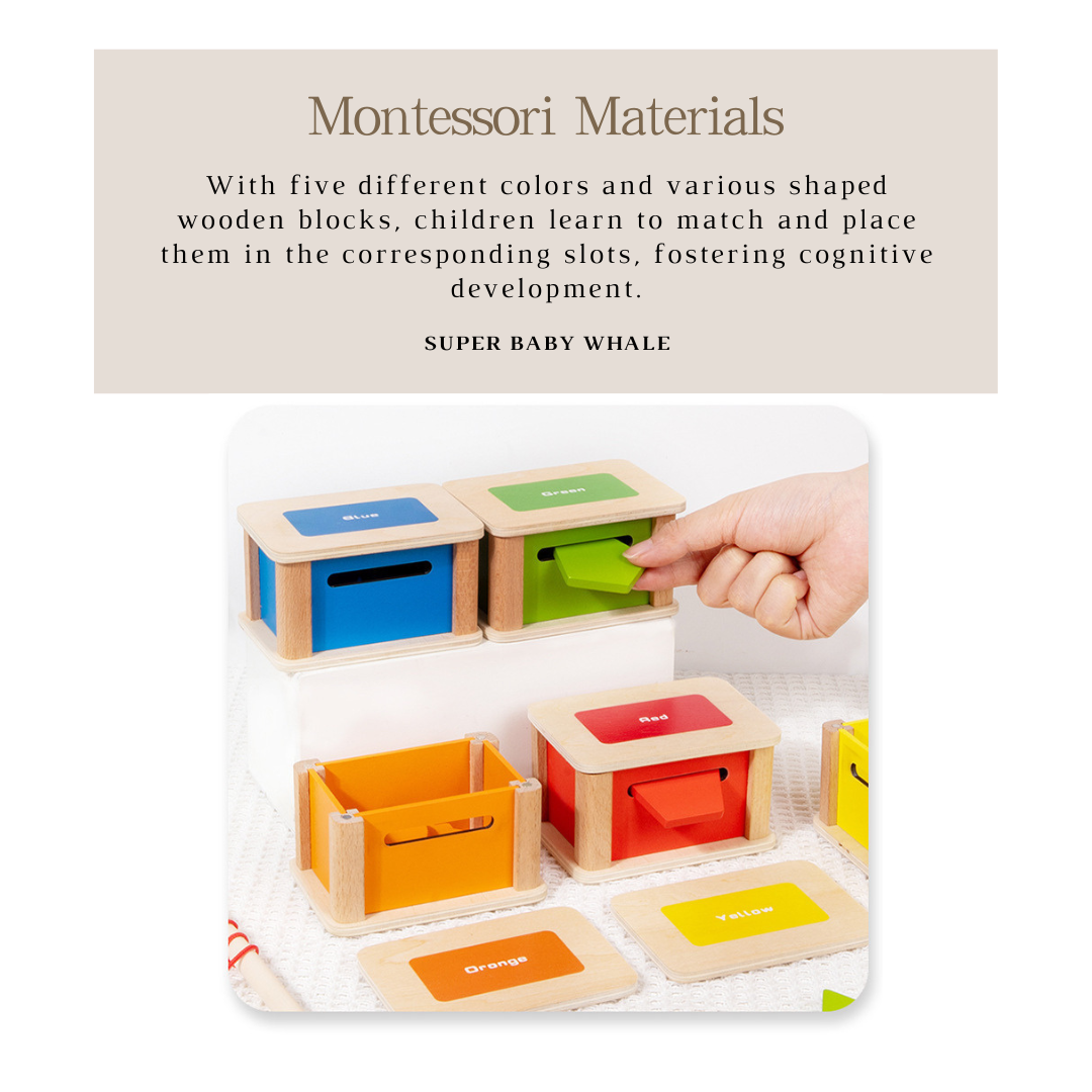 Montessori Early Education Color Sorting and Shape Matching Coin Box