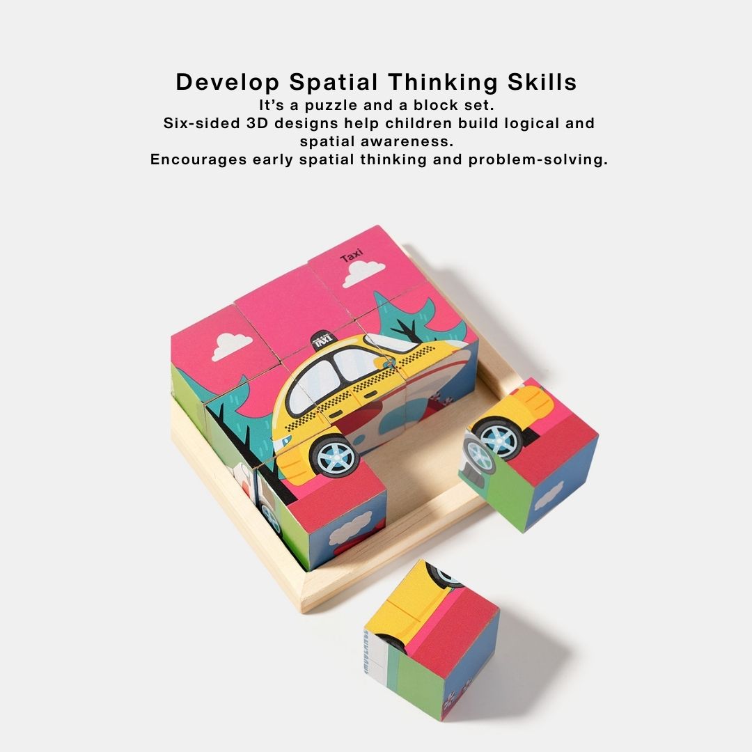 6-in-1 Wooden Block Puzzle