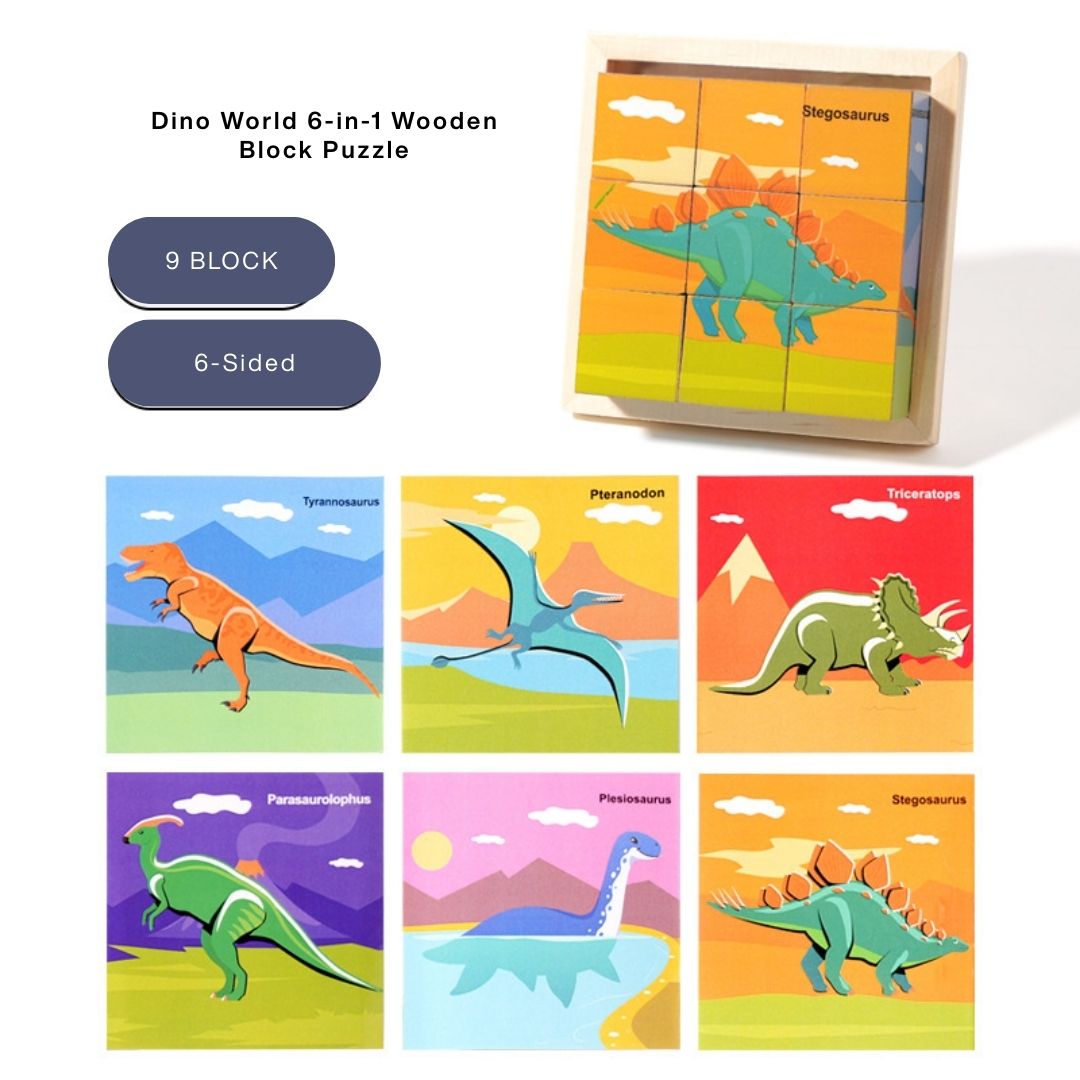 6-in-1 Wooden Block Puzzle