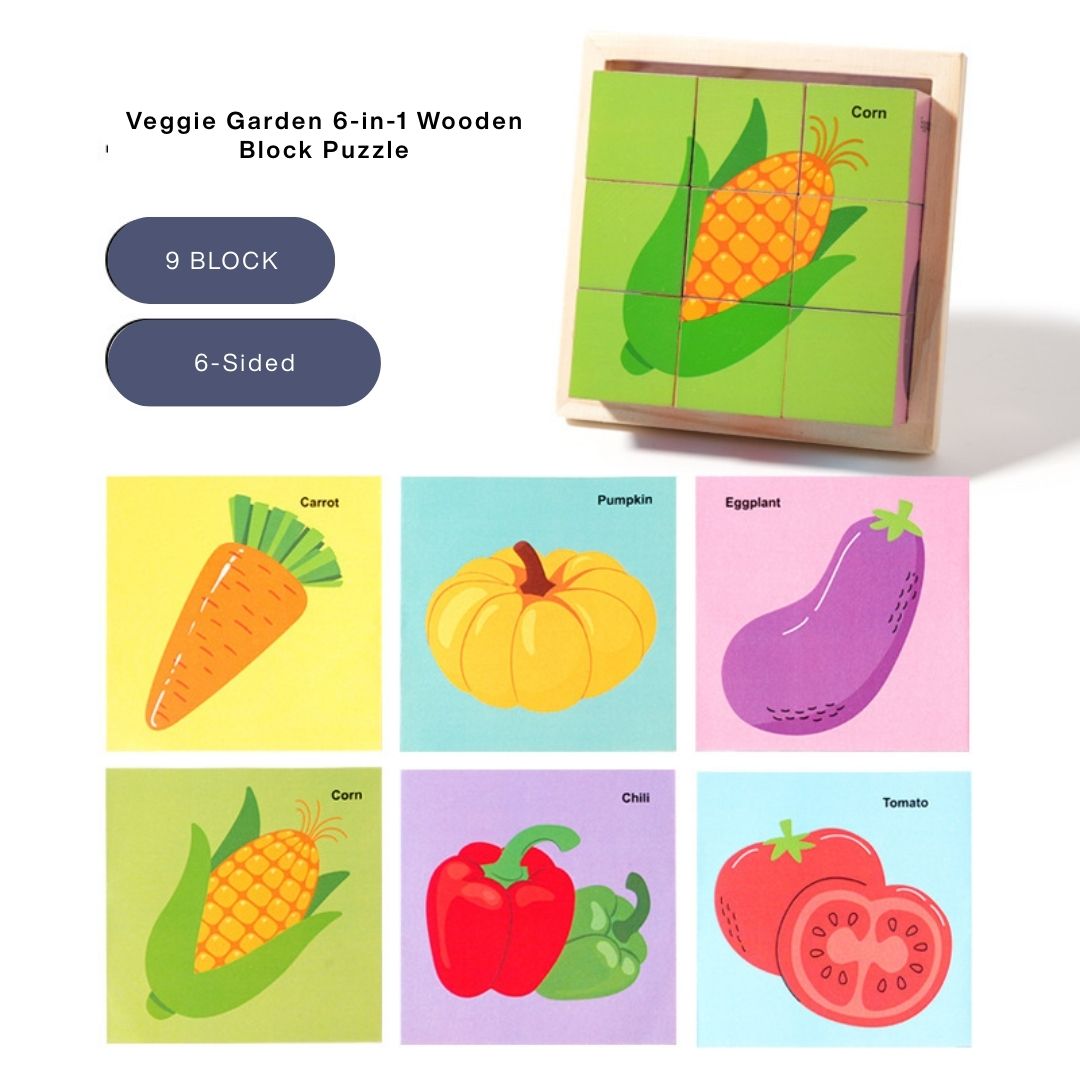 6-in-1 Wooden Block Puzzle