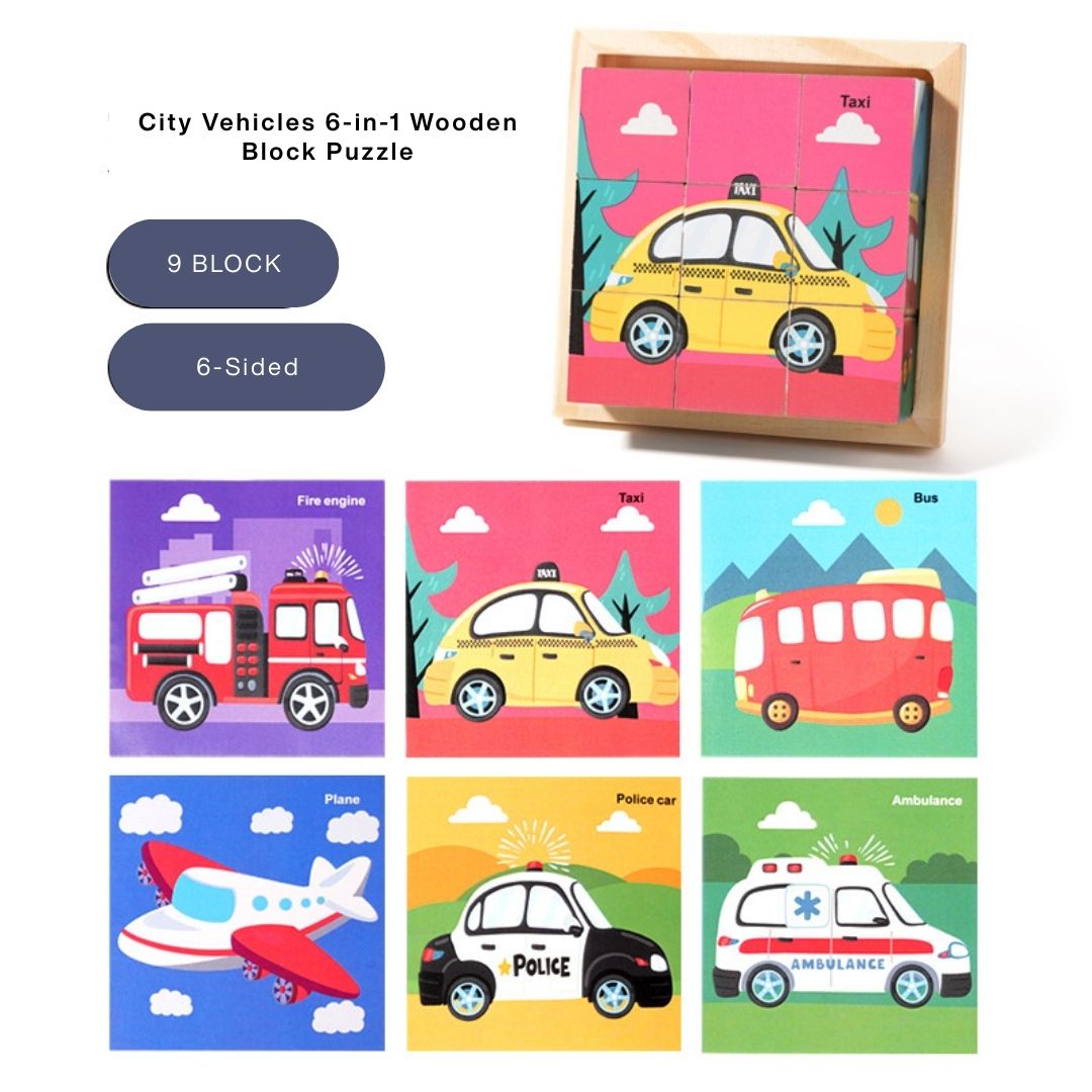 6-in-1 Wooden Block Puzzle