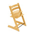 Growwithme™ High Chair