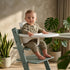 Baby sitting in a growwithme embo high chair with a neutral background and plants.